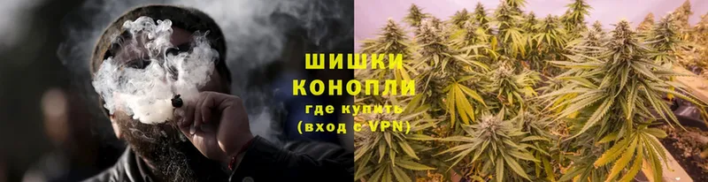 Бошки марихуана SATIVA & INDICA  Новокубанск 